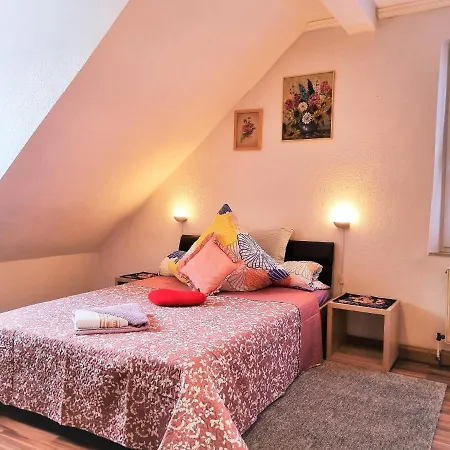 Apartment Bayreuth, Grosse Ferienwohnung Im Haus Mit Kunst, 3 Schlafzimmer, Kueche, Parkplatz Extérieur photo
